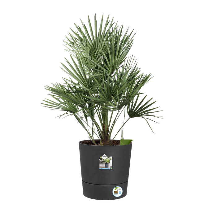 greensense aqua care rond 43cm gris charbon